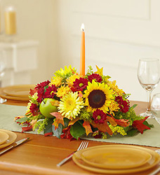 Autumn Celebration Centerpiece Flower Power, Florist Davenport FL